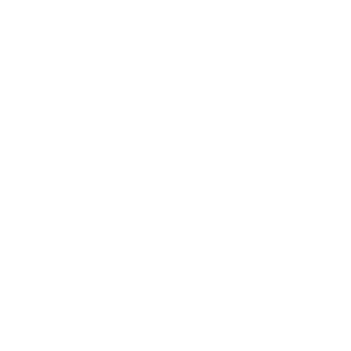 VITHEMOR